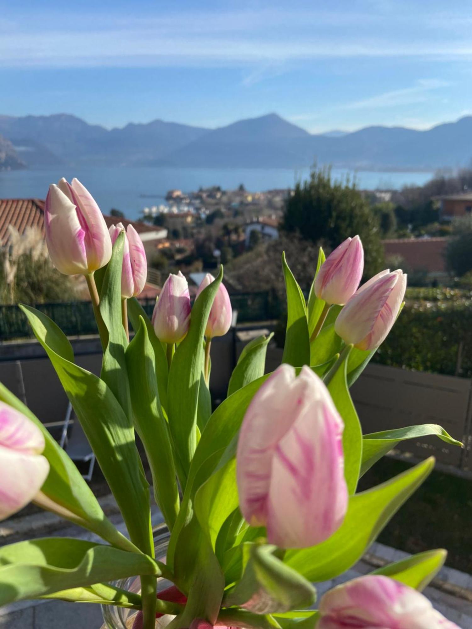 B&B Panorama Iseo Exterior foto